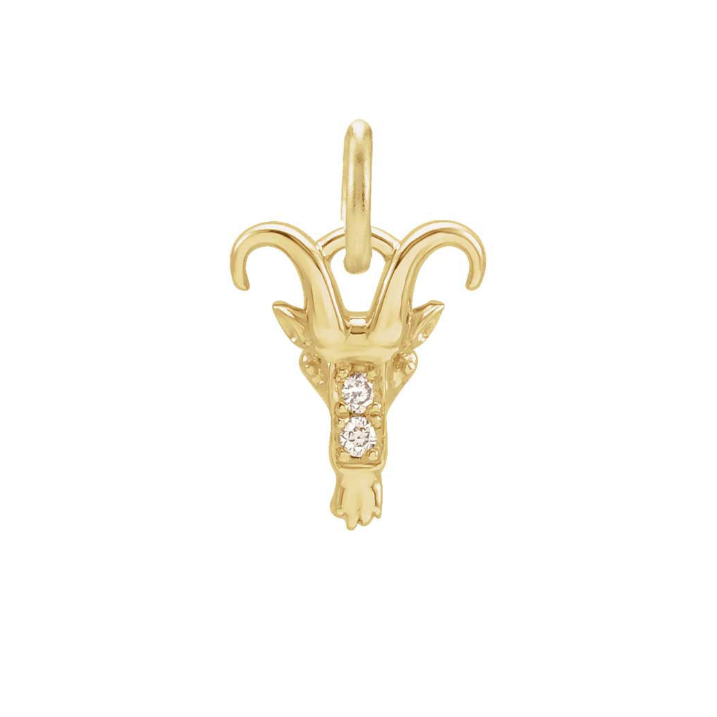 Capricorn zodiac charm in 14K gold with diamond accent