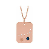 14K rose gold Capricorn constellation necklace with diamonds and birthstone on gold chain(Dec-22---Jan-19) variant--Capricorn variant--14K-rose-gold