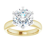 14K yellow/white gold 4CT Round Diamond Egagement Ring Setting/white-gold/white-gold variant--Round variant--4CT variant--14K-yellow/white-gold