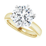 /white-gold/white-gold variant--Round variant--4CT variant--14K-yellow/white-gold