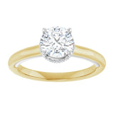 14K yellow/white gold 1CT Round Diamond Halo-Style Engagement Ring/white-gold/white-gold variant--Round variant--1CT variant--14K-yellow/white-gold