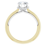 https://cdn.shopify.com/s/files/1/0566/1478/1015/files/73289918_47043d72-1d6d-4b1e-b700-e4832e1231d2.jpg?v=1724446982 variant--Round variant--1CT variant--14K-yellow-gold