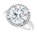 French-set halo ring with 3CT round center in gold variant--Round variant--4CT variant--14K-white-gold