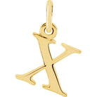 14K yellow gold Lowercase X Initial Charm