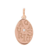 Elegant 14K rose gold disc charm featuring hand-engraved Aquarius zodiac symbol variant--14K-rose-gold