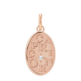 Modern zodiac necklace charm with deeply engraved Capricorn sign in 14K rose gold variant--14K-rose-gold