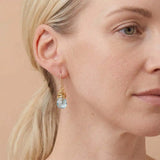 Birthstone dangle earrings shown on model variant--Gold-fill variant--Sterling-silver variant--Swiss-Topaz
