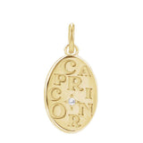 Close-up of Capricorn zodiac glyph engraved on recycled gold charm