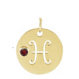 Gemstone Zodiac Charm - erin gallagher(Feb-19---Mar-20) variant--Pisces variant--14K-yellow-gold