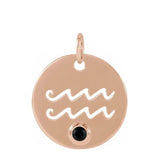 Gemstone Zodiac Charm - erin gallagher(Jan-20---Feb-18) variant--Aquarius variant--14K-rose-gold