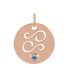 Gemstone Zodiac Charm - erin gallagher