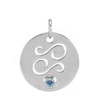 Gemstone Zodiac Charm - erin gallagher