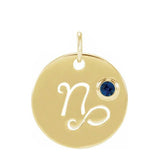 Gemstone Zodiac Charm - erin gallagher(Dec-22---Jan-19) variant--Capricorn variant--14K-yellow-gold